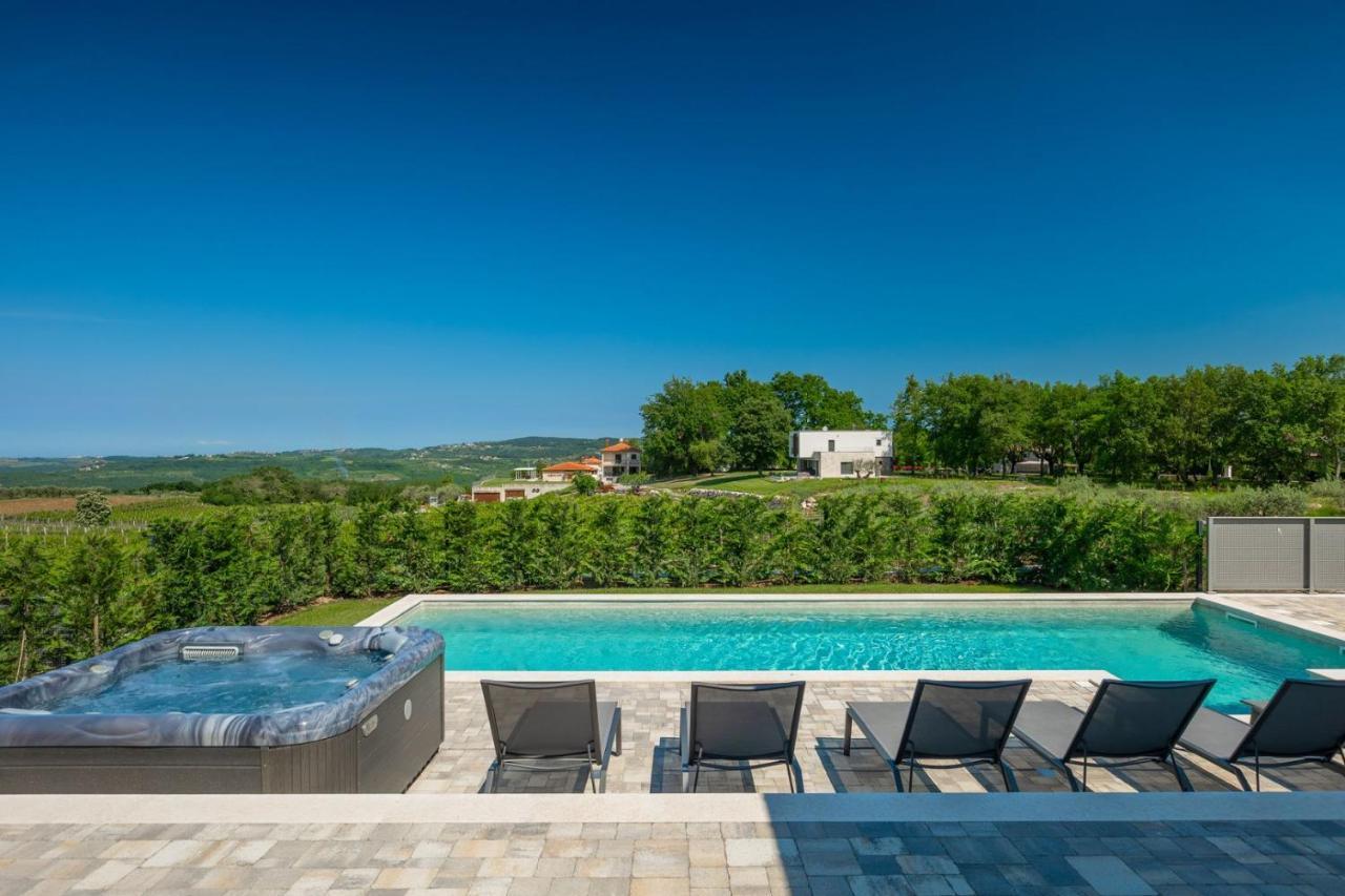 Luxury Villa Arman With Whirlpool In Visinada Vižinada Exterior foto